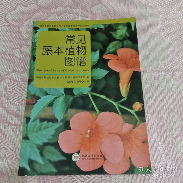 常见藤本植物图谱