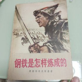 钢铁是怎样炼成的