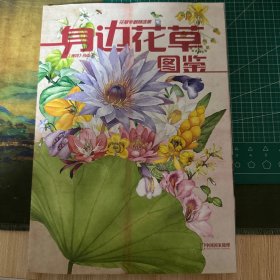 身边的花草图鉴