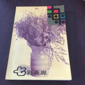 七彩画廊 未来丛刊1997 2 总第34期'