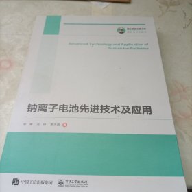 国之重器出版工程 钠离子电池先进技术及应用