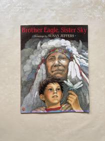 Brother Eagle, Sister Sky