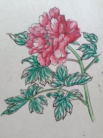 手绘线稿.已粗略上色.便宜出.看好再拍.传统手工托裱.约18x23.8cm(不含命纸).老破残文本.完美主义者勿扰.

可装镜框装饰书房、工作室.不议价.