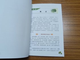 图说黄秋葵高效栽培（全彩版）