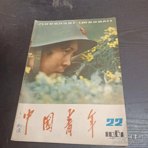 中国青年1981/22