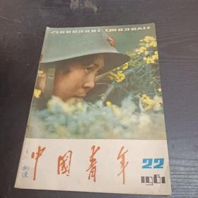 中国青年1981/22