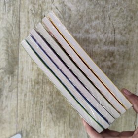 小女贼的猫腻，小女贼私房画，小女贼的细软，小女贼在惦记，小女贼之偷香，小女贼的黑店，6本合售