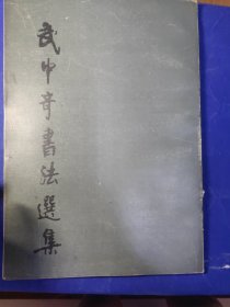武中奇書法選集