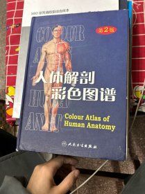 人体解剖彩色图谱