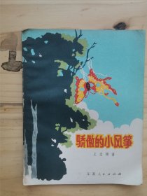 骄傲的小风筝