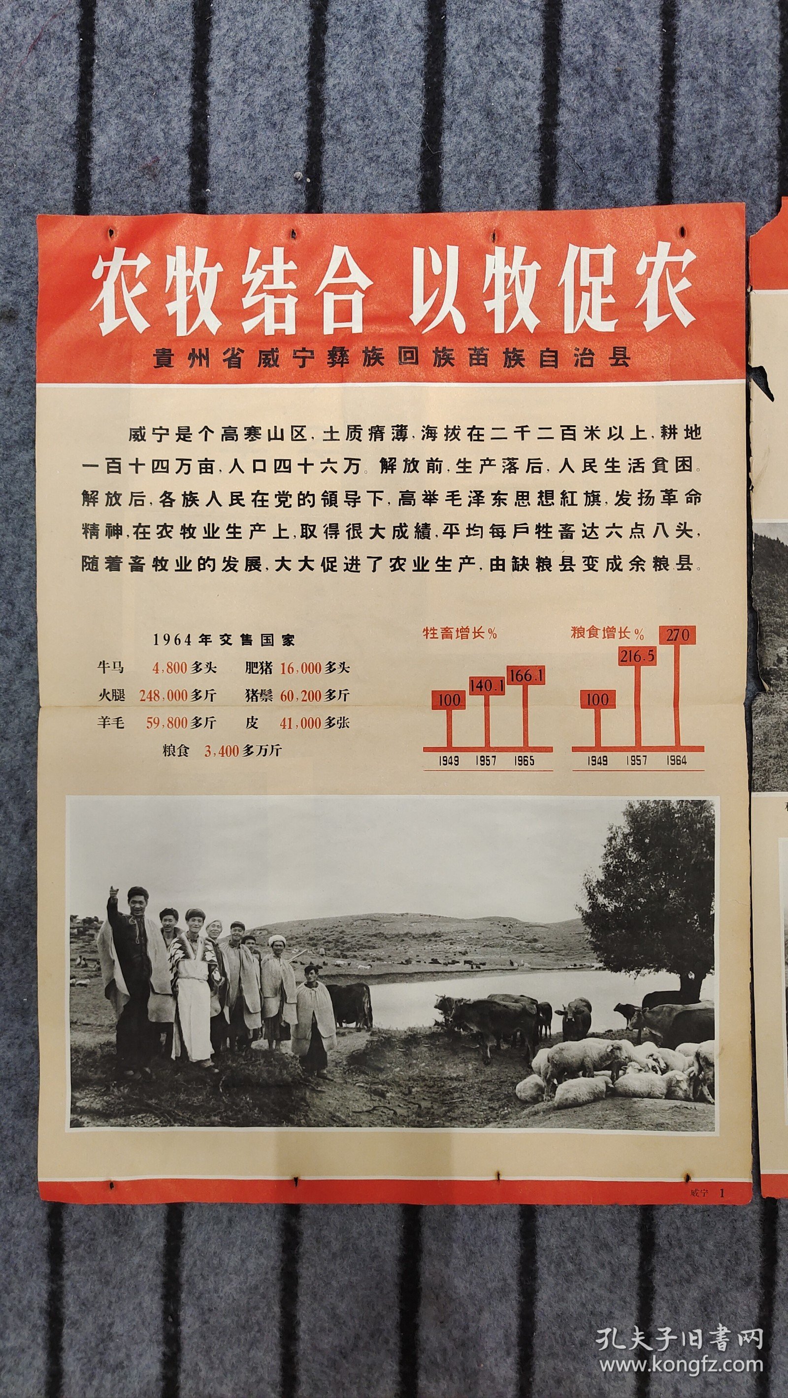 农业靠大寨精神-全国大寨式农业典型展览挂图2张-农牧结合 以牧促农 贵州省威宁县