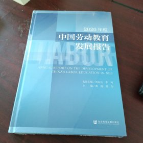 2020年度中国劳动教育发展报告(精)