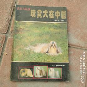 玩赏犬在中国，投资与经营