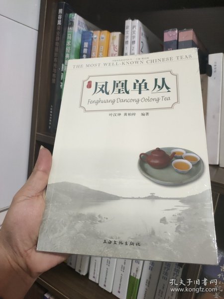 凤凰单丛