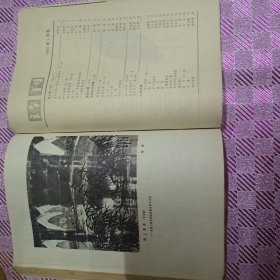 诗刊旧杂志1983/1-6合订