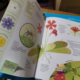 THE CARNIVOROUS PLANTS GUIDE for Young Explorers 食肉植物指南