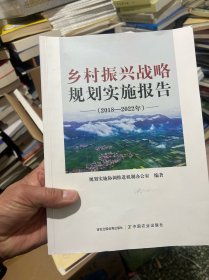 乡村振兴战略规划实施报告（2018-2022年）