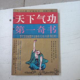 天下气功第一奇书