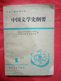 中国文学史纲要  一