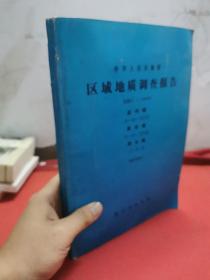 中华人民共和国区域地质调查报告比例尺1:200000:温州幅.黄岩幅.洞头幅 地质部分