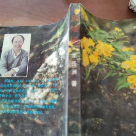 武陵魂
