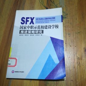 国家中职示范校建设学校推进策略研究