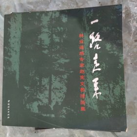 一路走来：林业遥感专家赵宪文教授画集
