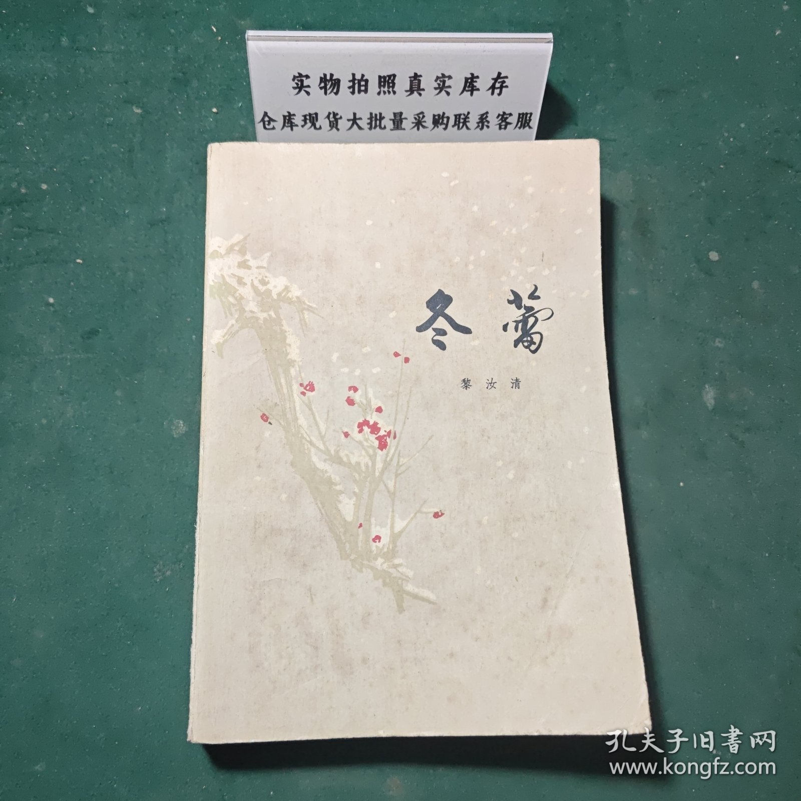 冬蕾1981年一版一印