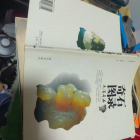 奇石图录 大漠奇石 正版现货A0038Y