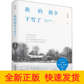 我的故乡下雪了
