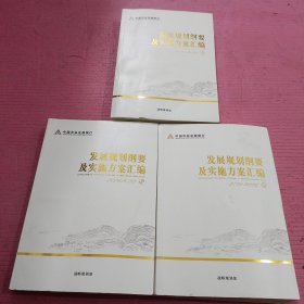 发展规划纲要及实施方案汇编2021-2025 （上中下）【447号】