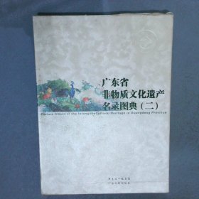 广东省非物质文化遗产名录图典2