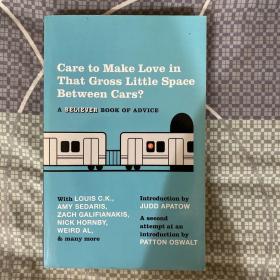 Care To Make Love In That Gross Little Space Between Cars?: A Believer Book of Advice