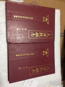 大冶铁矿志1890-1985、第一卷上下册全