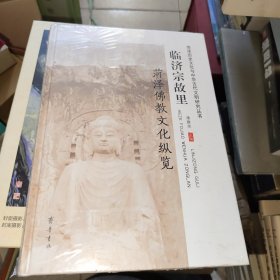 菏泽历史文化与中华古代文明研究丛书：临济宗故里·菏泽佛教文化纵览