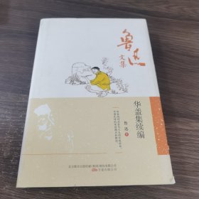 鲁迅文集：华盖集续编