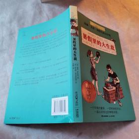 长青藤国际大奖小说书系第十辑：暑假里的大生意