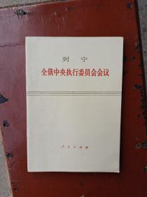 全俄中央执行委员会会议