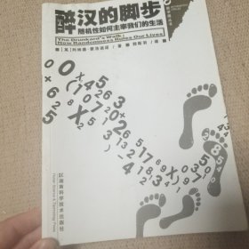 醉汉的脚步：数学圈丛书