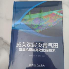 威荣深层页岩气田富集机理与高效勘探技术，未开封