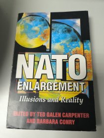 NATO ENLARGEMENT Illusions and Reality