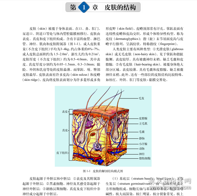 皮肤病学(案例版）