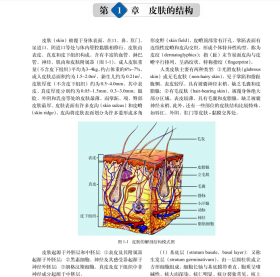 皮肤病学(案例版）