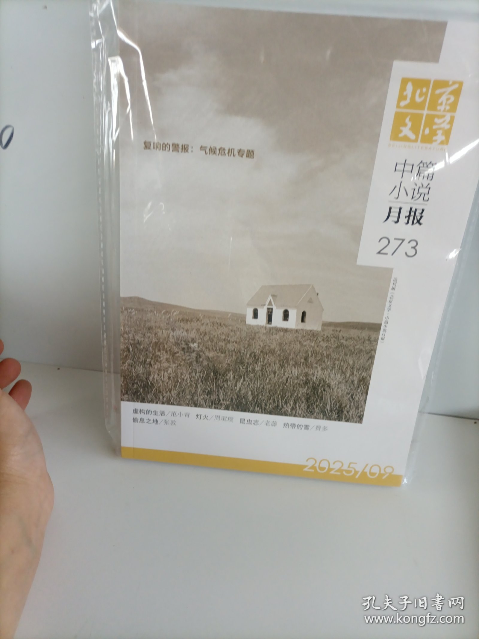 北京文学中篇小说月报2025