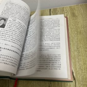 正阳人物志