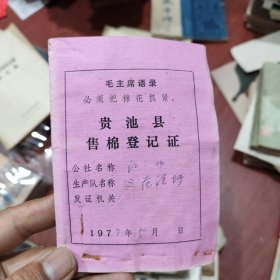 1977年贵池县售棉登记证和棉花预购合同。