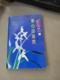 蘭花素心品鑒賞