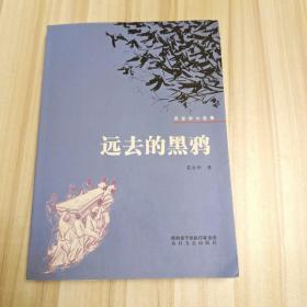 远去的黑鸦 : 苏冠华小说集