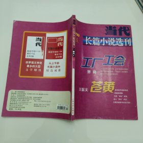 当代长篇小说选刊 2009年第5期 第伍期 楚荷：工厂工会 王跃文：苍黄 人民文学出版社 正版现货 实物拍照