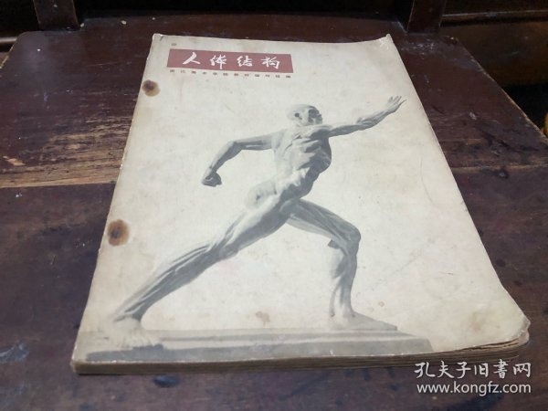 浙江美术学院编撰教材 人体结构书籍